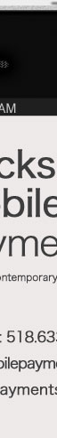 bricks and mobile payments solutions iphone