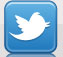 bricks and mobile payments solutions iphone